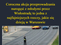Coroczna akcja przeprowadzania nurogęsi z młodymi przez Wisłostradę to jedna z najfajniejszych rzeczy, jakie się dzieją w Warszawie –  PIT kwejk.pl
