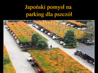 Japoński pomysł na  parking dla pszczół –  